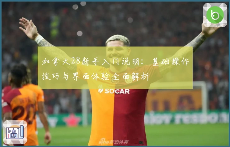 加拿大28新手入门说明：基础操作技巧与界面体验全面解析
