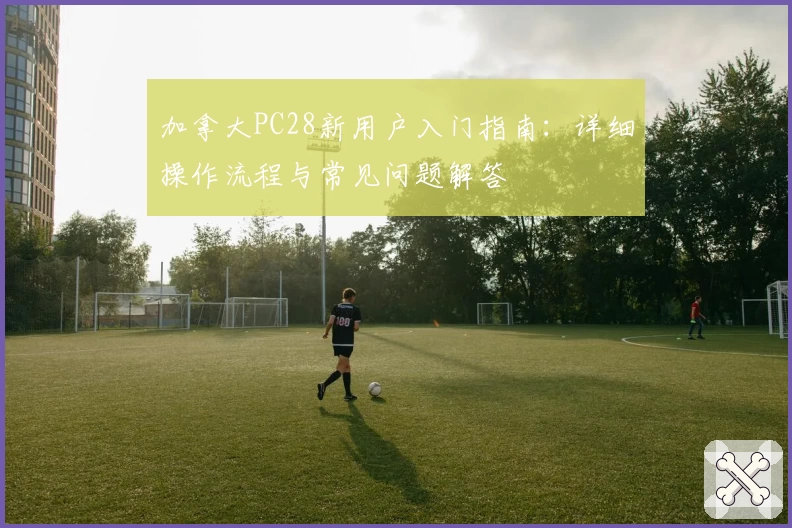 加拿大PC28新用户入门指南:详细操作流程与常见问题解答