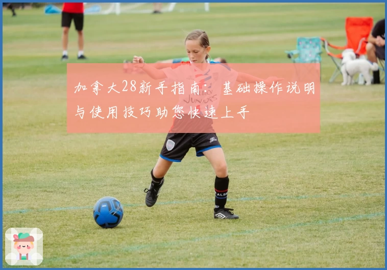 加拿大28新手指南：基础操作说明与使用技巧助您快速上手