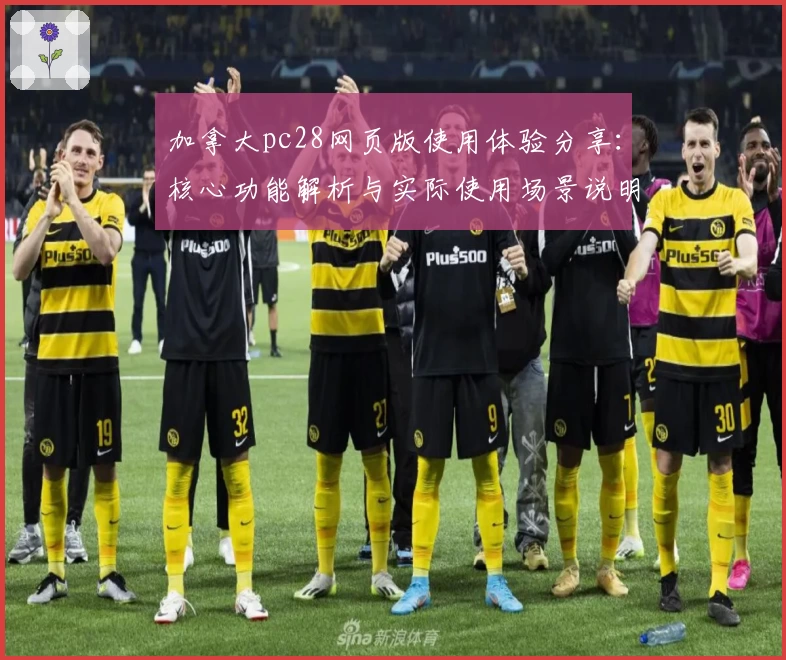 加拿大pc28网页版使用体验分享：核心功能解析与实际使用场景说明