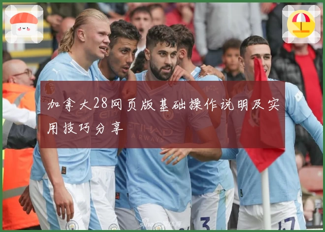 加拿大28网页版基础操作说明及实用技巧分享
