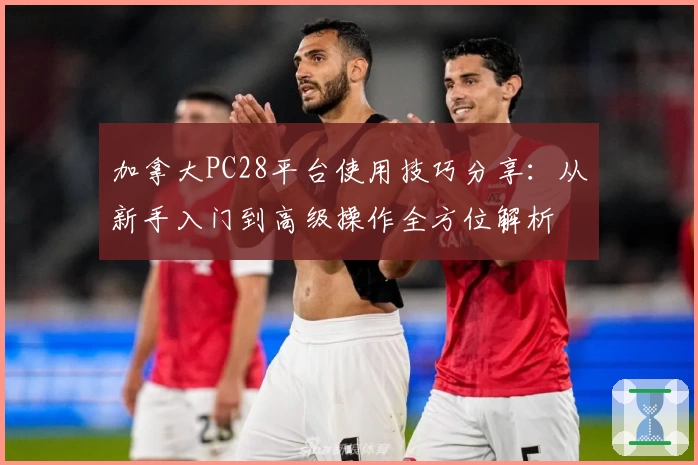 加拿大PC28平台使用技巧分享：从新手入门到高级操作全方位解析