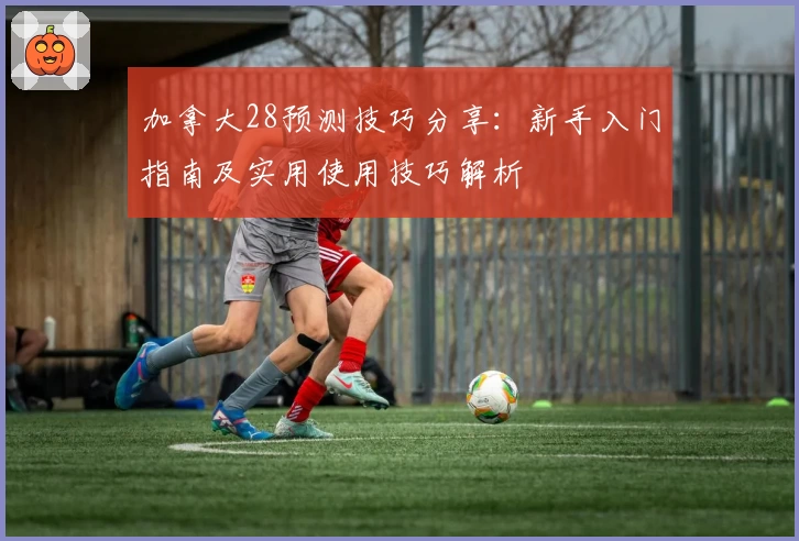 加拿大28预测技巧分享：新手入门指南及实用使用技巧解析