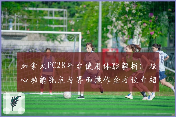 加拿大PC28平台使用体验解析：核心功能亮点与界面操作全方位介绍