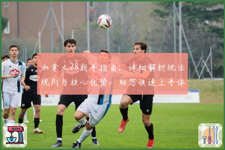 加拿大28新手指南：详细解析玩法规则与核心优势，助您快速上手体验