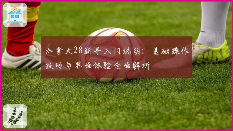 加拿大28新手入门说明：基础操作技巧与界面体验全面解析