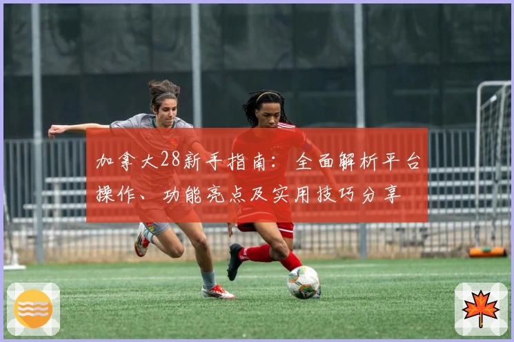 加拿大28新手指南：全面解析平台操作、功能亮点及实用技巧分享