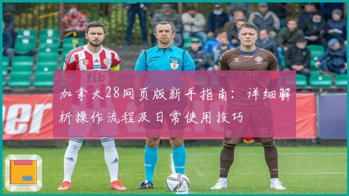 加拿大28网页版新手指南：详细解析操作流程及日常使用技巧