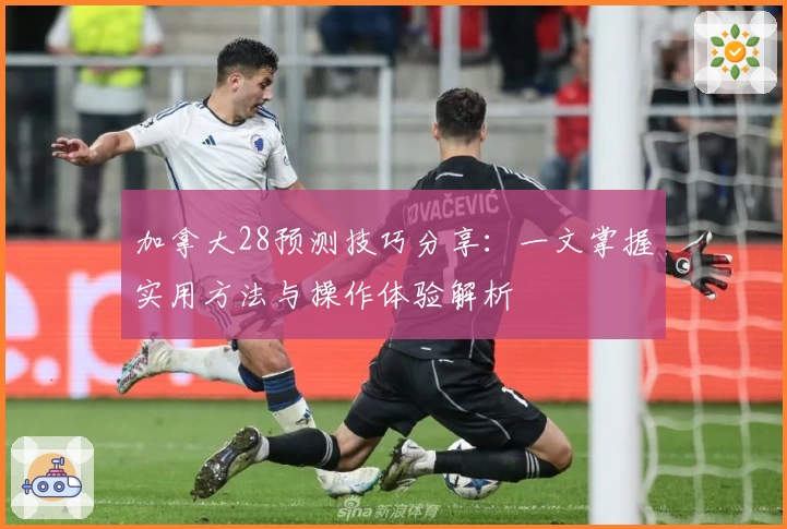 加拿大28预测技巧分享：一文掌握实用方法与操作体验解析