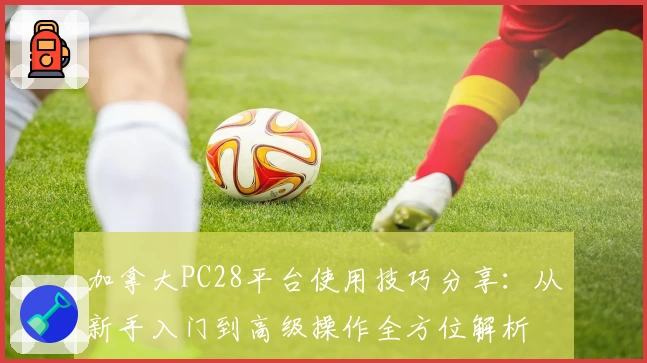 加拿大PC28平台使用技巧分享:从新手入门到高级操作全方位解析