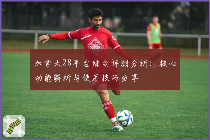 加拿大28平台综合评测分析：核心功能解析与使用技巧分享