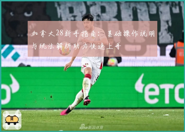 加拿大28新手指南：基础操作说明与玩法解析助力快速上手