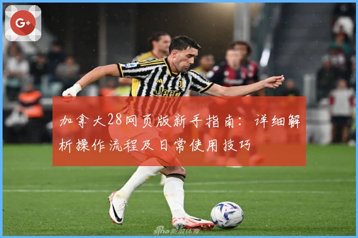 加拿大28网页版新手指南：详细解析操作流程及日常使用技巧