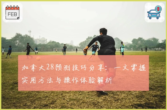 加拿大28预测技巧分享：一文掌握实用方法与操作体验解析
