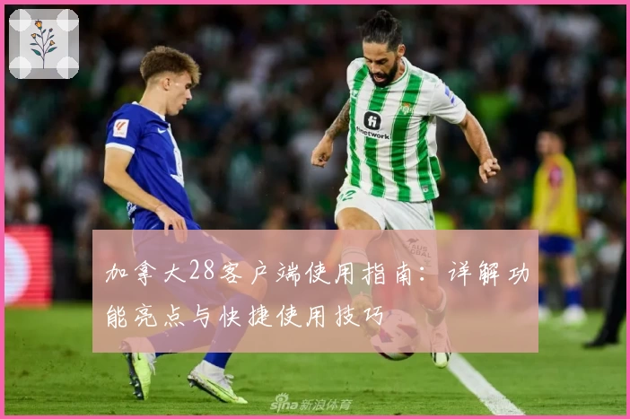 加拿大28客户端使用指南：详解功能亮点与快捷使用技巧