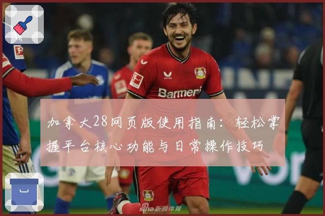 加拿大28网页版使用指南：轻松掌握平台核心功能与日常操作技巧