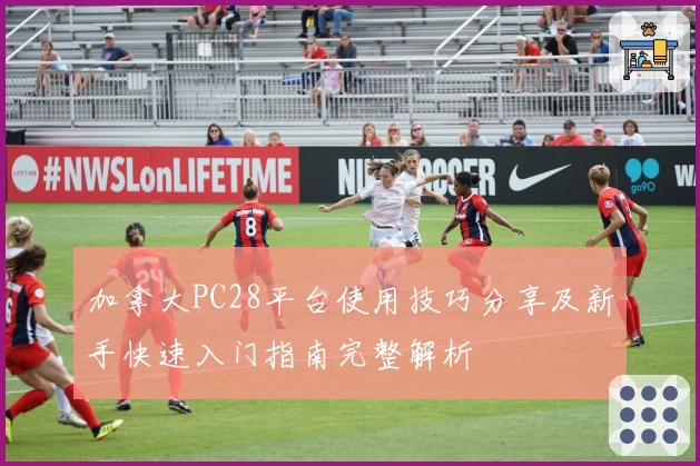 加拿大PC28平台使用技巧分享及新手快速入门指南完整解析