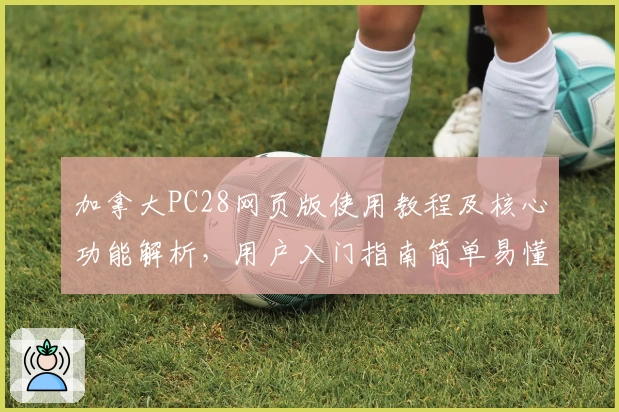 加拿大PC28网页版使用教程及核心功能解析，用户入门指南简单易懂