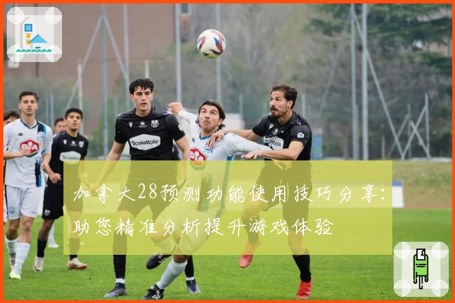 加拿大28预测功能使用技巧分享：助您精准分析提升游戏体验
